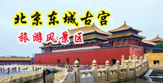 福利动图亚洲中国北京-东城古宫旅游风景区