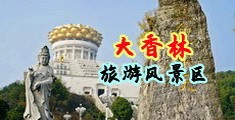 操,骚逼,视频好爽啊中国浙江-绍兴大香林旅游风景区